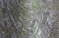 Ridgeway fibreglass roof work